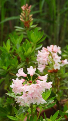 DSCN4432.JPG