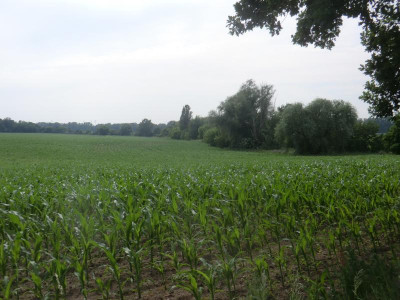 CIMG2277.JPG