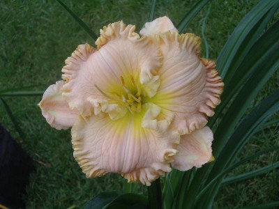 25-07_P3305.jpg