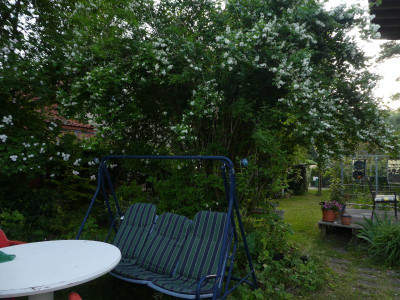 P1050313.JPG