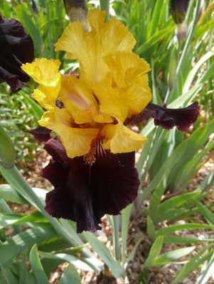 20190611_104506.jpg