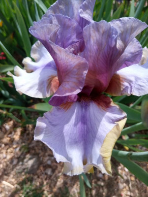 20190611_104435.jpg
