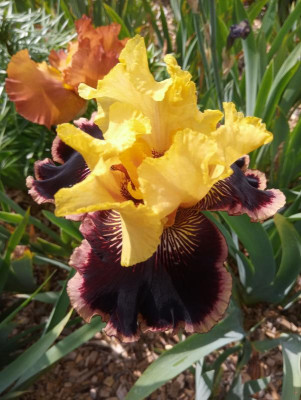 20190611_103741.jpg