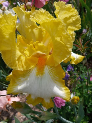 20190611_103701.jpg