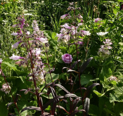 20190612_002556.jpg