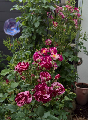 newimagineohwow20190611.jpg