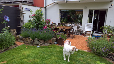20190612l.jpg
