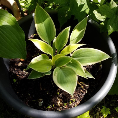 20190612_152321.jpg