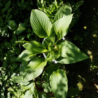 20190612_152508.jpg