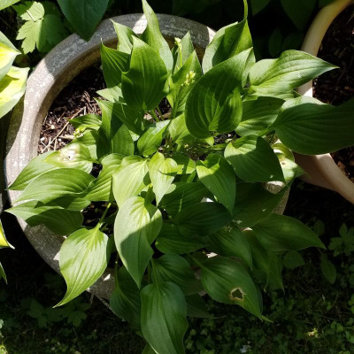 20190612_152816.jpg