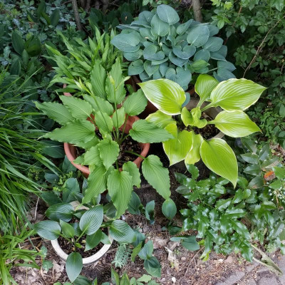 20190612_154606.jpg