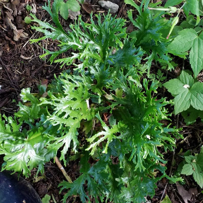 20190612_165655.jpg