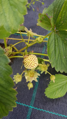20190612_190236.jpg