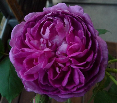 RdV_0615_02.JPG