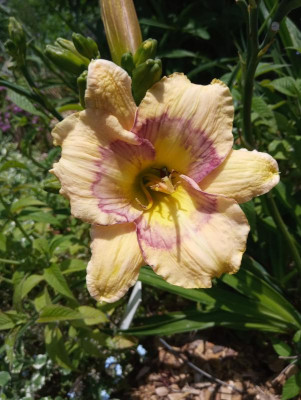 20190613_123012.jpg
