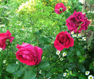 13.06.2019 21-38-33_11685.jpg