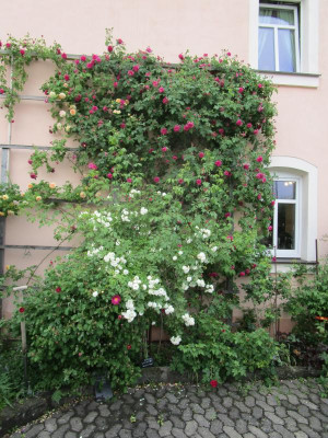 ErinnerunganBrod-1.JPG