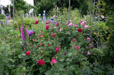 Gartenansicht3907.jpg