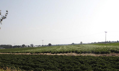 DSCI0004 (2).JPG