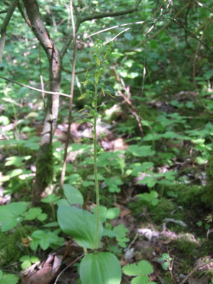 DSCF6591.JPG