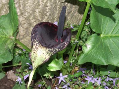 DSCF6574.JPG