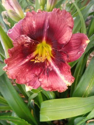 20190615_102559.jpg