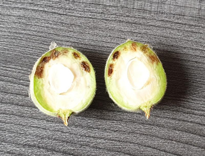 20190615_203351.jpg