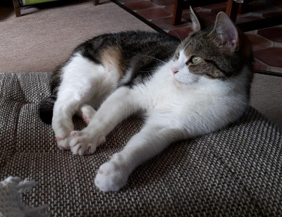 20190616_091045.jpg
