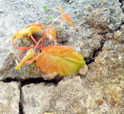 20190616_171951.jpg