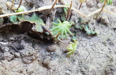 20190616_171828.jpg