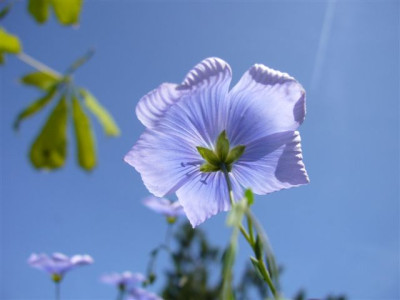 10.06.2007.1.JPG
