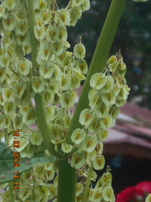 DSCN8230.jpg