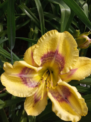 20190617_103010.jpg
