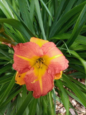 20190617_103022.jpg