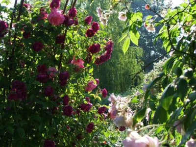 17.06.2019 09-19-11_12095.jpg