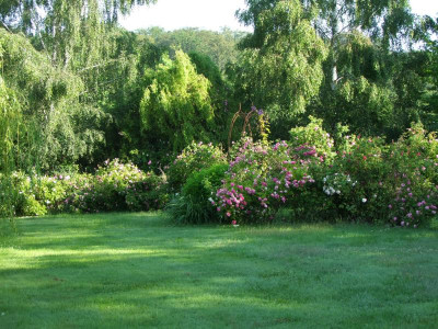 17.06.2019 09-16-38_12034.jpg