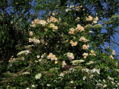 17.06.2019 09-11-35_11919.jpg