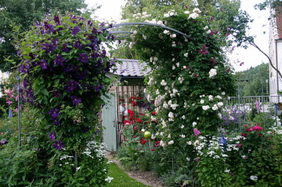 Rosenbogen00907.jpg