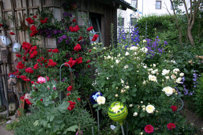 Gartenansicht5107.jpg