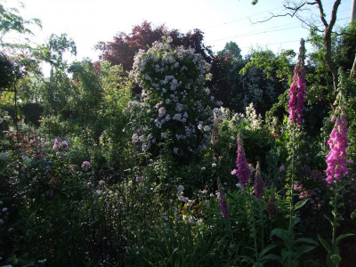 17.06.2019 09-09-15_11863.jpg