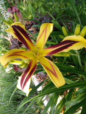 20190618_065444.jpg