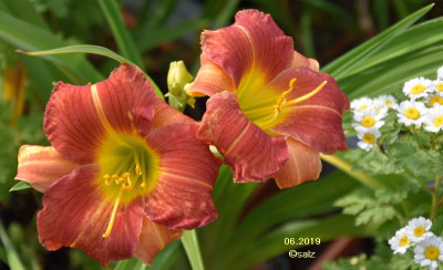 Smlg 002 2019.jpg