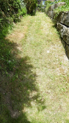 DSCN4453.JPG