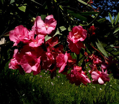 20190619_130233.jpg