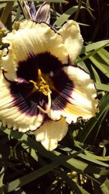 20190620_105442.jpg
