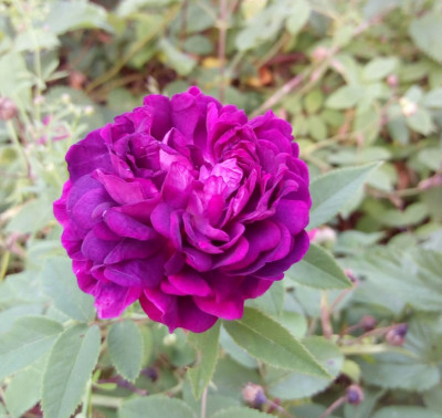 photostudio_1561047708480.jpg