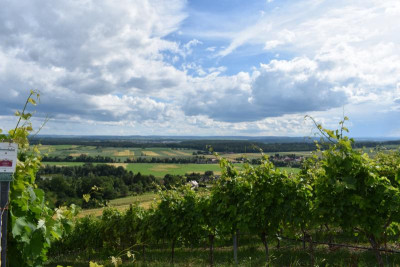 Hohenhaslach Juni 19 002.JPG
