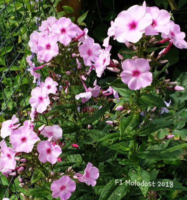 20190621_132503.jpg