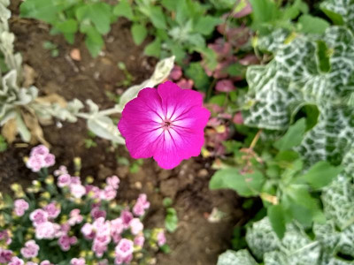IMG_20190621_140928361_HDR.jpg