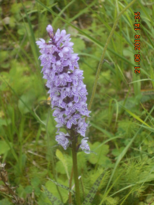 DSCN8421.jpg